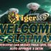 TIGERSLOT388 Slot Online Provider Pragmatic dan PG Soft